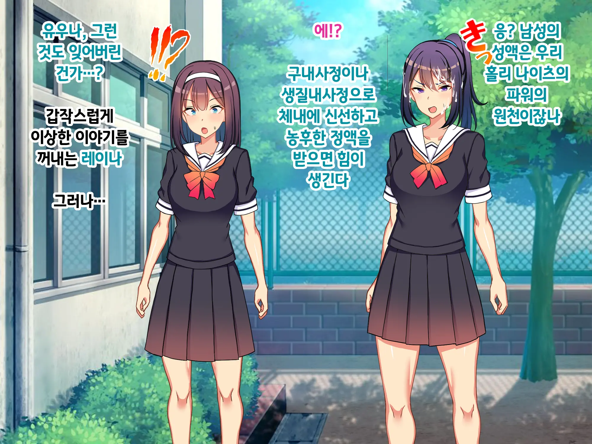 Sou Seisen Hime Holy Knights, Sennou Kaizou Songen Hakai, Seigi No Henshin Hiroin Ga Ganimata Pose De Machi O Osou Hentai Buzama Kaijin Ni Naru Made
